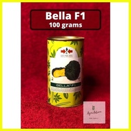 ◊☜ ✗ ∈ Bella F1 Hybrid Kalabasa Seeds 100grams (East-west Seed)
