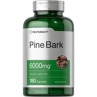 Horbäach Pine Bark Extract | 6000 mg | 180 Capsules | Standardized to Contain 75% Proanthocyanidins 
