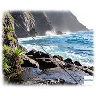 Shimano Eging Rod 25 Salty Advance Shore Model Eging S86ML