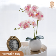 กล้วยไม้ฟาแลนประดิษฐ์ พร้อมกระถาง สองไซส์ กล้วยไม้ฟาแลน ฟาแลนประดิษฐ์ ตกแต่งสวน ตกแต่งบ้าน ตกแต่งห้อ