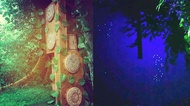 LOST Taiwan ( 台北忠孝店 ) 星靈｜奇幻占星密室逃脫 ( 平日場 ) 