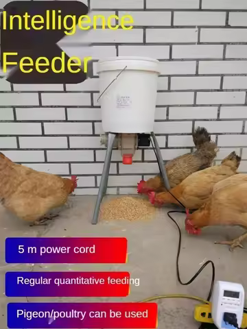 Automatic Chicken Feeder Pigeon Chicken Duck Carrier Pigeon Trough Intellegent Timing Automatic Chic