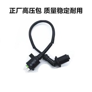 Suitable for Qingqi Smart Koala Linglu QM48QT-B High Voltage Package Spark plug cap Start Ignition C