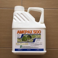 4L AMEPAX 500/ RUMPUT SAMBAU/ Herbicide / Racun Rumpai / Pekatan Ampaian (SC)