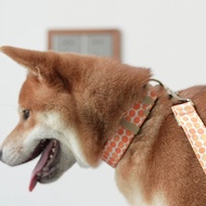 SE Pumpkin Pattern Pet Collar for Halloween Theme Party Adjustable Cats Collar Dog Neckwear for Fest