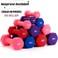 🇸🇬🔥Ready Stock🔥 Neoprene Hex Dumbbells VINYL Dumbbell Pair (From 6kg to 10kg)