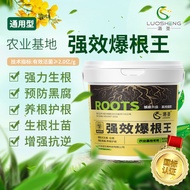 Losses Bakugan King Root Powder Roots Strong Roots Thick Main Roots Strong Planting Roots Branches L