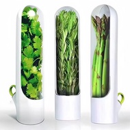 Vanilla Fresh-Keeping Storage Box Household Asparagus Vegetables Long-Lasting Fresh-Keeping Storage 