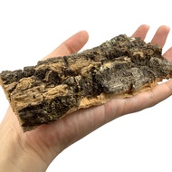 Cork Bark Hide for Isopods - Reptiles Exotic Pets Terrariums