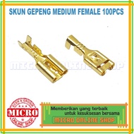 Skun Gepeng Cowok Female Medium Isi 100 / Skun Kabel / Skun Motor