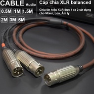 XLR male to 2 XLR male splitter cable - XLR male to 2 cable