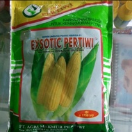 JAGUNG MANIS EXOTIC PERTIWI