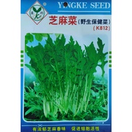 ♞,♘Arugula Rocket  Salad Vegetable Seeds ( 1000 seeds ) - Basic Farm House