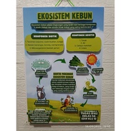 3d poster school assignment