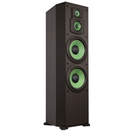 Loa PARAMAX F-2000 chuẩn mực của dòng loa nghe nhạc và dùng cho cả karaoke