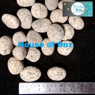 Striated Stone Aquarium Base Decoration Quail Eggs Puyu Eggs 1 kg Aquascape