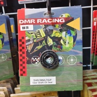 DMR RACING Engine Gear Shaft Oil Seal SHR/BNK/HJ250/KEWS250/FLY250/FW250 Motorcycle Performance Part