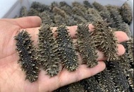 高價收購乾貨海味-高價回收花膠 魚翅 燕窩 海參 瑤柱等海味