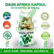 Daun afrika kapsul herbal stroke obat strok jamu kolesterol hipertensi kebas kesemutan mati rasa