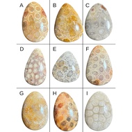 Jumbo triangle lotus agatenatural, selected quality | AA168