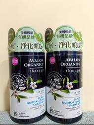 放售 Therapy, Scalp Normalizing Shampoo, Tea Tree Mint, 14 fl oz (414 ml) 洗頭水