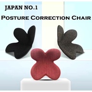 Posture Correction Chair / Basic Ergonomic Chair / Lumbar Waist Back Support for Office Home Chair