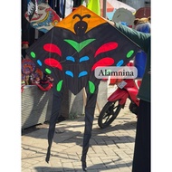 Butterfly kite, cloth kite, flying kite