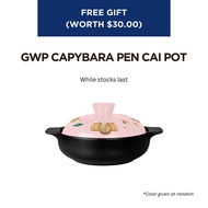 GWP Capybara Pen Cai Pot (Color given at random)