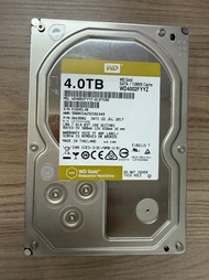 West Digital WD 4TB Hard Drive WD4002FYYZ SATA 硬碟 硬盤 HDD 4T NAS