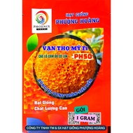 Dwarf Ancient Marigold Flower PH50 Red Orange Phoenix Seeds