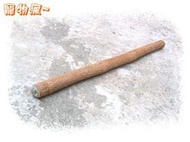 @寵物瘋@~2尺BIRD天然棲木2呎約61cm自然啃木(喬木種)玩具站棍綠鬣蜥變色龍雙冠蜥兩棲爬蟲天然無毒可幫助蛻皮磨爪