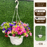 COMBO of 10 17x9cm hanging pots, plastic flower baskets, hanging vines for home decoration