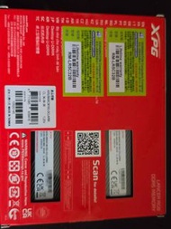 ADATA 16GB x2 DDR5 5600 RAM 記憶體