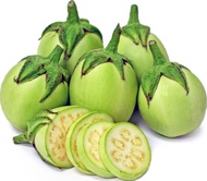 Apple green aubergine eggplant seed( Nightshade)