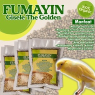 biji fumayin hemp seed pakan burung kenari lovebird 50gr