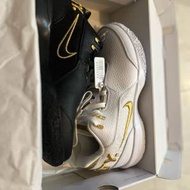 Nike ZM LeBron NXXT Gen AMPO EP 男黑金白金鴛鴦籃球鞋FJ1567-1