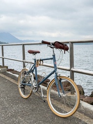 tokyobike 藍色單車 451輪組