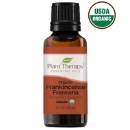 Plant Therapy Frankincense Frereana Essential Oil Organic 30ml - Ecovera