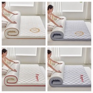 【Reeady Stock】 2-3CM And 5-6cm thickness Floor tatami Mattress Topper Single/Queen/King Tatami Soft Mattress Feather Velvet Soft Tilam Foldable Matress Queen