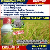 RICETOP 500ml Obat Semprot Pelebat Padi - Pupuk Penyubur Padi - Pupuk NPK Cair RICE TOP Merangsang Akar Batang &amp; Buah Pada Tanaman Padi Sehingga Dapat Menghasilkan Panen Berlipat TERLARIS MURAH Bisa Mengusir Hama Tikus Padi di Sawah