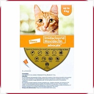 Advocate]s?Flea:D-&=d(Tick|O(Spot|T(On|G(for|I(Small|s(Cats up to 4kg
