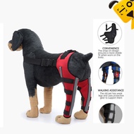 Molumo Dog Knee Brace Hind Leg Support ACL CCL Injury Recovery Wrap Adjustable Rehabilitation Brace