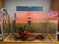 Yiding 超白玻璃魚缸 75*40*36
