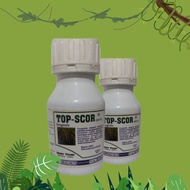 Top Scor Fungisida Sekor Score difenokonazol 250 EC 100 ML topscore topscor fungisida padi obat poto