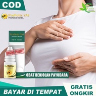 Obat Oles Alami Penghilang Benjolan dipayudara Penghancur Lipoma Benjolan Dileher Kelenjar Getah Ben