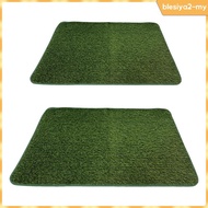 [BlesiyaedMY] Artificial Grass Dog Crate Training Mat, Dog Crate Accessory, Home Potty Training Mat,