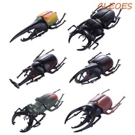 CLEOES Simulation Beetle Science Toy Animal Collection Insect Toy Simulation Animals Beetle Figures 