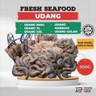 [DELIVERY 1 SEMENANJUNG] UDANG 500G - UDANG / UDANG XL / UDANG XXL / UDANG HARIMAU / UDANG GALAH