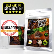 PAKAN BURUNG INSECT MIX pakan ternak sukses breeding murai batu kenari kacer voer pur tinggi protein