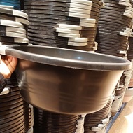 BEKAS BULAT  IKAN LAGA @ IKAN GUPPY SERBEGUNA 🐠🐠